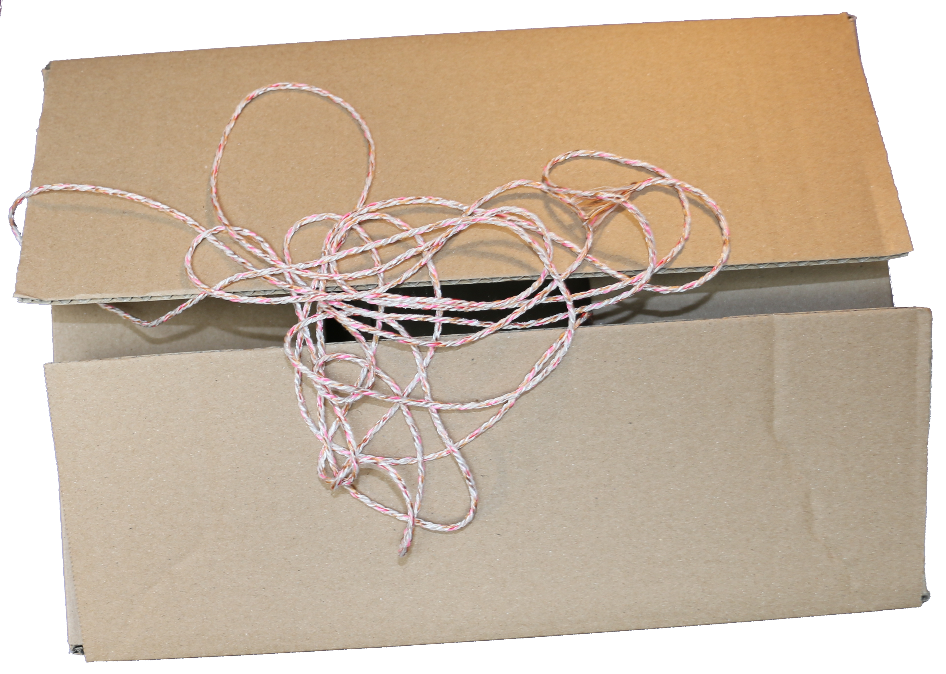 Päckchen, Detektei SCHLAUmeier - Das gestohlene Päckchen