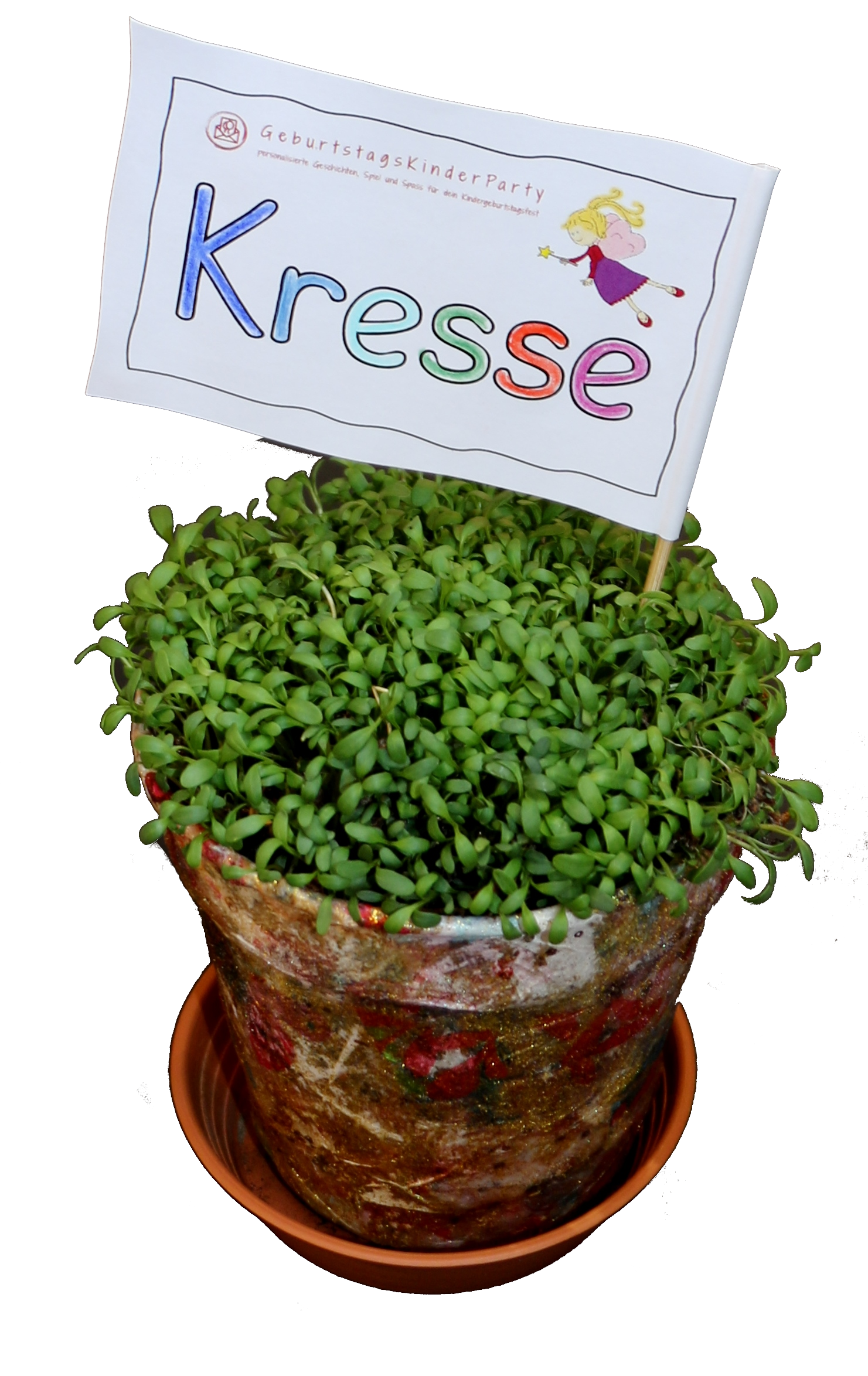 Kressetopf mit Fähnchen